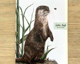 Otter and Bee Birthday/Greeting Card by British Wildlife Artist Sophie Nash