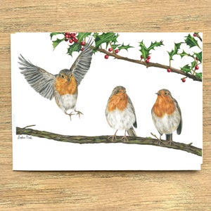 Carte de Noël/anniversaire/de voeux Robin et houx par l'artiste animalière Sophie Nash - Oiseaux britanniques, oiseaux de jardin, faune britannique, animaux
