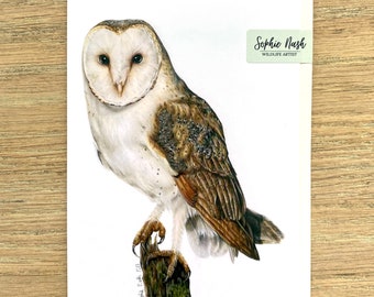Barn Owl Greeting Card by British Wildlife Artist Sophie Nash - Owl Birthday Card - Bird Card