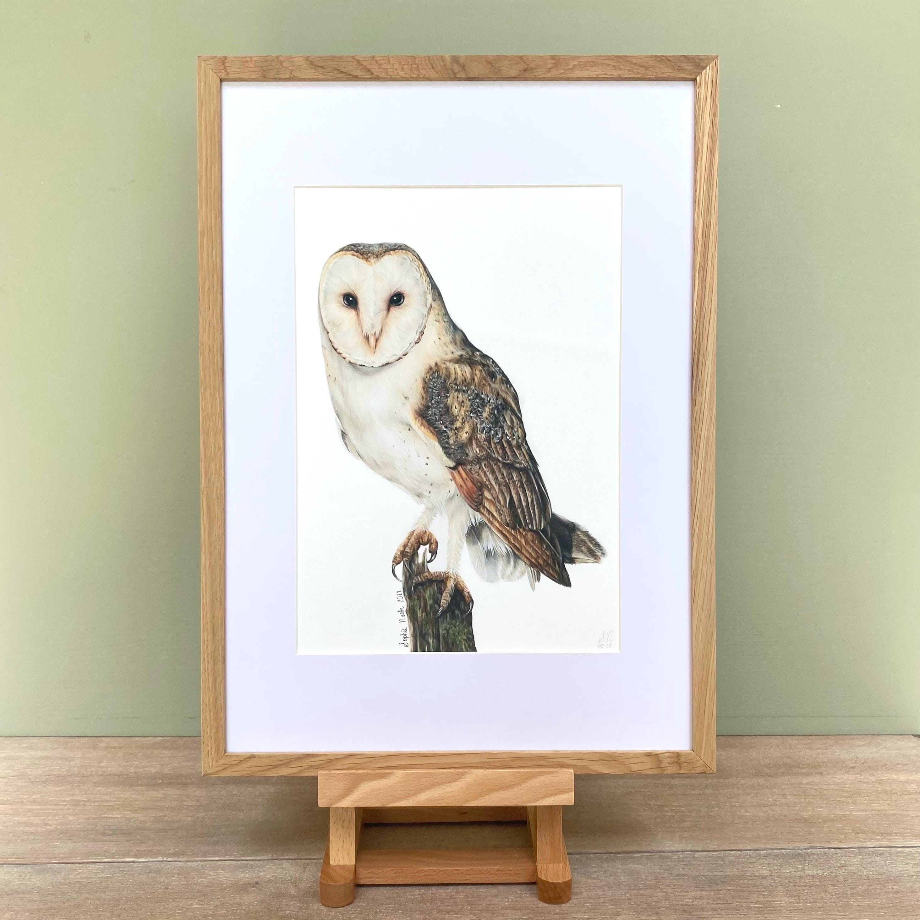 Barn Owl Giclée Art Print: Wildlife/Bird of Prey Art by Sophie Nash