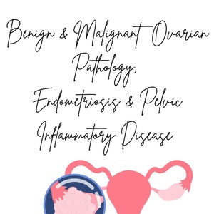 以下が含まれることがあります： 卵巣を拡大鏡で強調した女性の生殖器のイラスト。テキストには「良性および悪性卵巣病変、子宮内膜症および骨盤炎症性疾患」と記載されています。