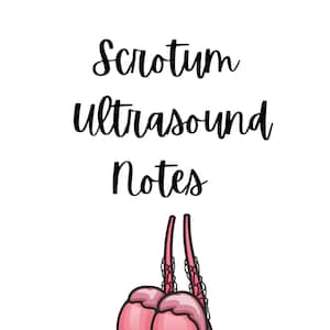 Hodensack Ultraschall DOWNLOAD Notizen PDF-Ultraschall-Schule für Ultraschall-Studenten in Abdomen und Sm-Teile Sonographie Notizen