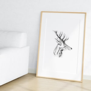 Hirsch Zeichnung Skizze Bleistift Digital Download