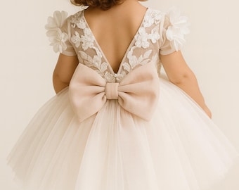 3D Flower Girl Dress: Champagne Blush Lace Tulle, Wedding Party