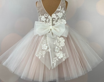 Flower girl dress, blush, 3D dress, Birthday Dress, Baby Dress, Lace Dress, Tulle Dress, Wedding, MODEL IB033