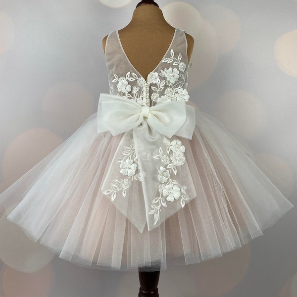 Flower girl dress, blush, 3D dress, Birthday Dress, Baby Dress, Lace Dress, Tulle Dress, Wedding, MODEL IB033