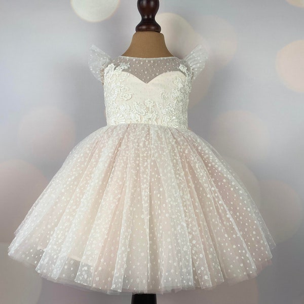 Blush Flower girl dress, Birthday Dress, Blush dress, Baby Dress, Lace Dress, Tulle Dress, Wedding, MODEL BI011