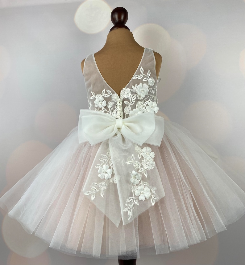 Robe de demoiselle d'honneur, blush, robe 3D, robe d'anniversaire, robe de bébé, robe en dentelle, robe en tulle, mariage, MODÈLE IB033 image 3