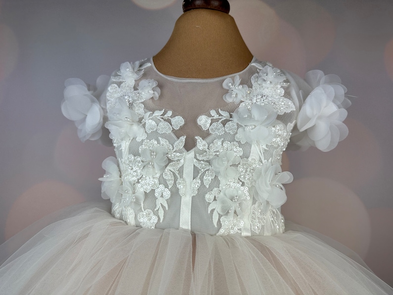 Flower girl dress, blush, 3D dress, Birthday Dress, Baby Dress, Lace Dress, Tulle Dress, Wedding, MODEL PENELOPE image 2