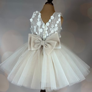 Flower girl dress, champagne,  3D dress, Birthday Dress, Baby Dress, Lace Dress, Tulle Dress, Wedding, Champagne Dress MODEL ICH034