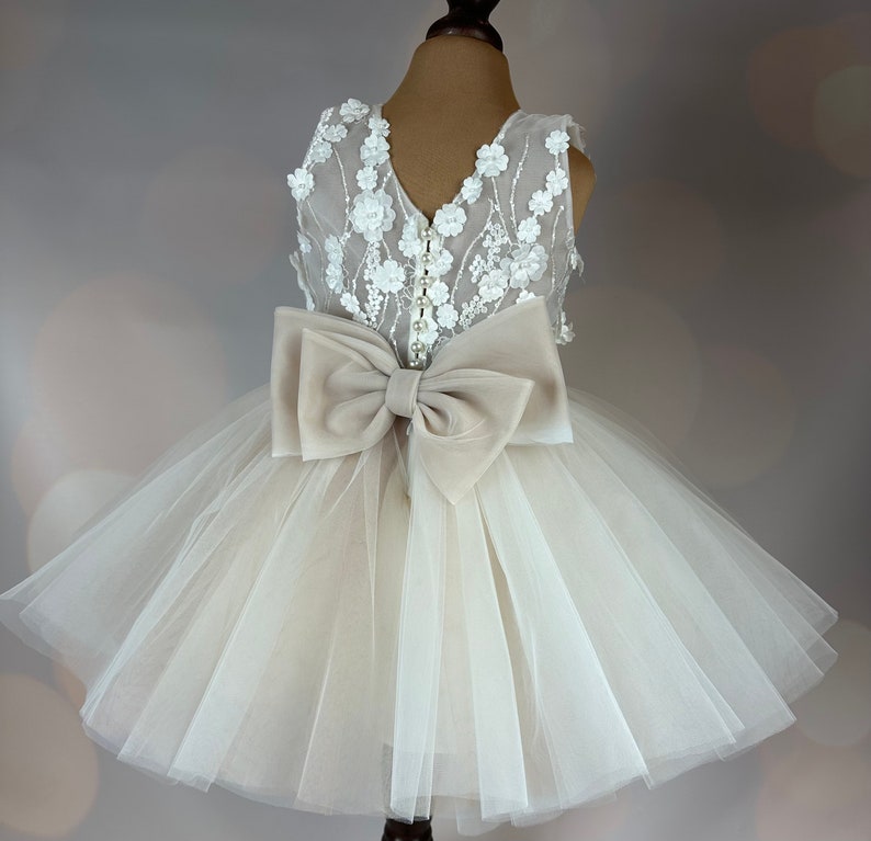 Flower girl dress, champagne, 3D dress, Birthday Dress, Baby Dress, Lace Dress, Tulle Dress, Wedding, Champagne Dress MODEL ICH034 image 3