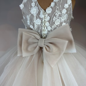 Flower girl dress, champagne, 3D dress, Birthday Dress, Baby Dress, Lace Dress, Tulle Dress, Wedding, Champagne Dress MODEL ICH034 image 4