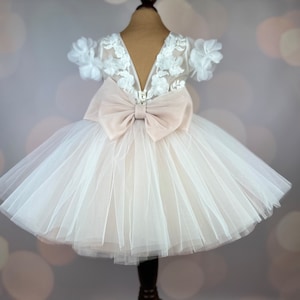 Blumenmädchenkleid, blush, 3D Kleid, Geburtstagskleid, Babykleid, Spitzenkleid, Tüllkleid, Hochzeit, MODEL PENELOPE Bild 8