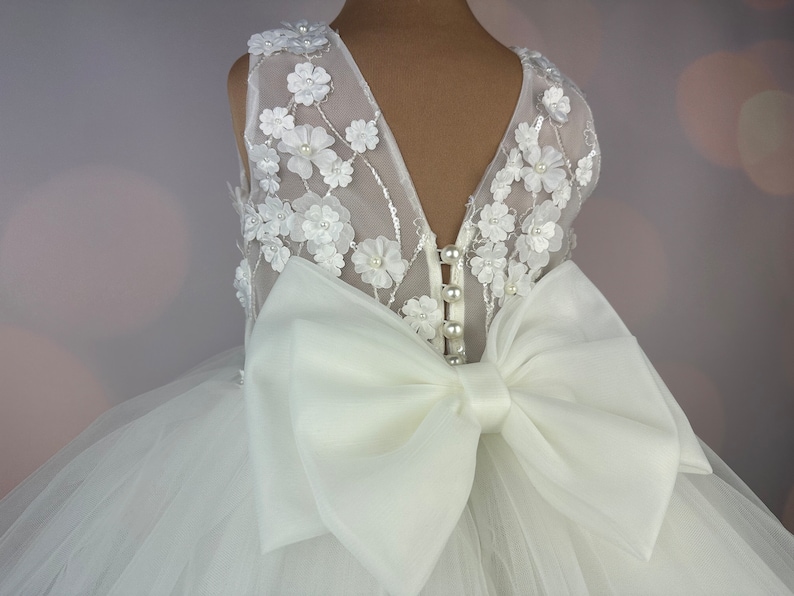 Robe de fille de fleur, robe 3D, robe d'anniversaire, robe de bébé, robe en dentelle, robe en tulle, mariage, robe champagne MODÈLE CHLOE image 2