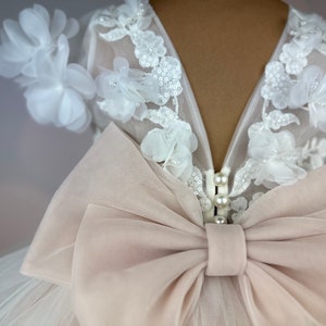 Robe de demoiselle d'honneur, blush, robe 3D, Robe Anniversaire, Robe Bébé, Robe Dentelle, Robe Tulle, Mariage, MODÈLE PENELOPE image 9