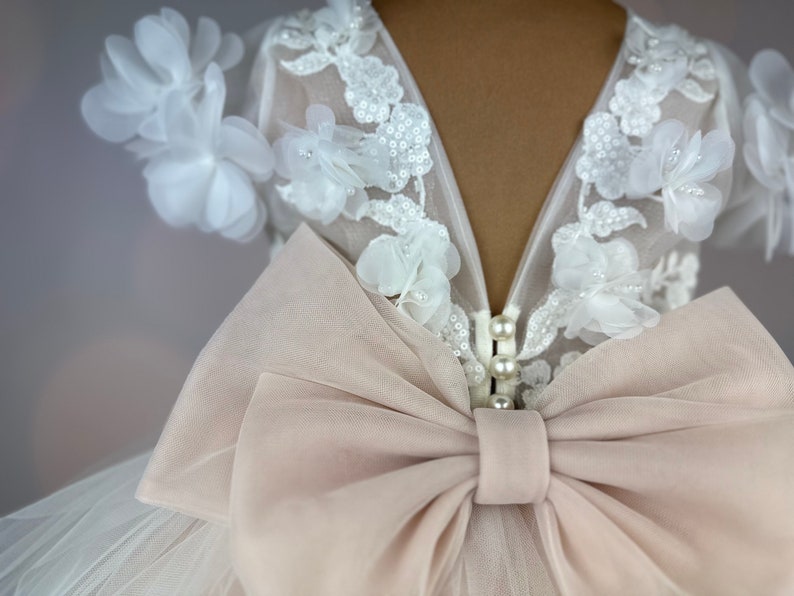 Blumenmädchenkleid, blush, 3D Kleid, Geburtstagskleid, Babykleid, Spitzenkleid, Tüllkleid, Hochzeit, MODEL PENELOPE Bild 9