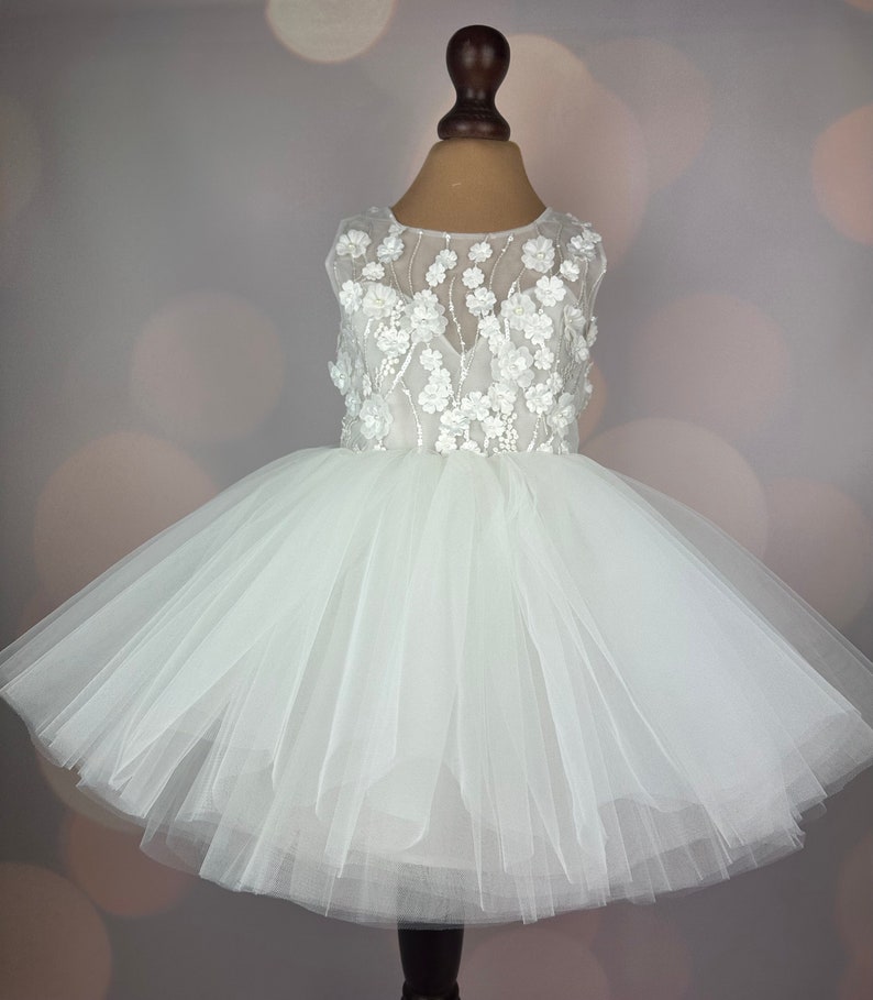 Robe de fille de fleur, robe 3D, robe d'anniversaire, robe de bébé, robe en dentelle, robe en tulle, mariage, robe champagne MODÈLE CHLOE image 7