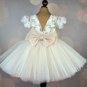 Blumenmädchenkleid, blush, 3D Kleid, Geburtstagskleid, Babykleid, Spitzenkleid, Tüllkleid, Hochzeit, MODEL PENELOPE Bild 1