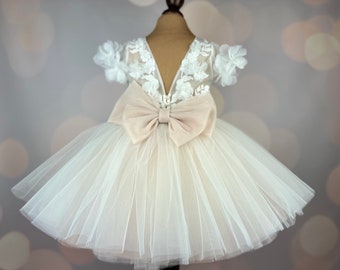 Robe de demoiselle d'honneur, blush, robe 3D, Robe Anniversaire, Robe Bébé, Robe Dentelle, Robe Tulle, Mariage, MODÈLE PENELOPE