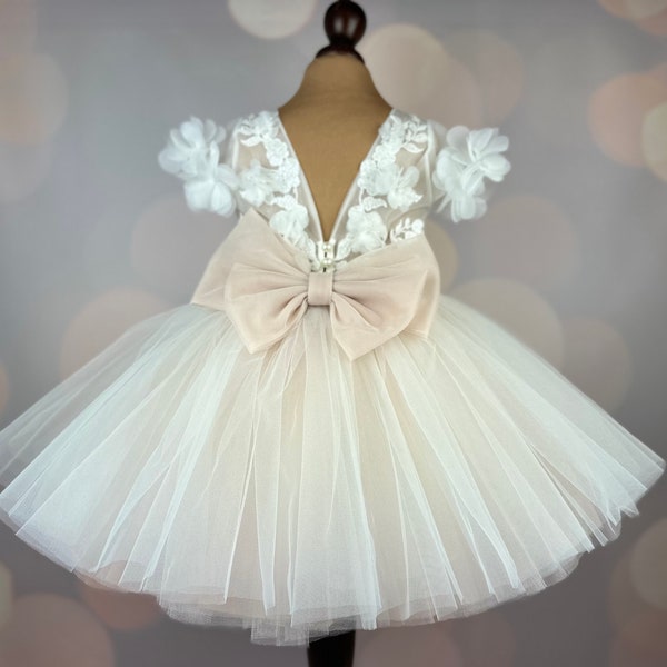 Flower girl dress, blush, 3D dress, Birthday Dress, Baby Dress, Lace Dress, Tulle Dress, Wedding, MODEL PENELOPE