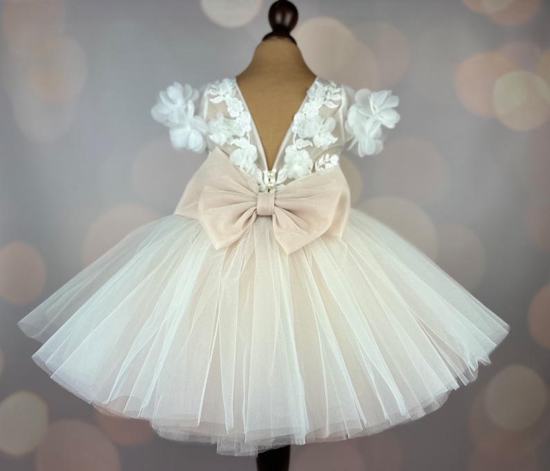 Blumenmädchenkleid, blush, 3D Kleid, Geburtstagskleid, Babykleid, Spitzenkleid, Tüllkleid, Hochzeit, MODEL PENELOPE Bild 1