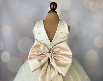 Robe de fille de fleur, robe d’anniversaire, robe de bébé, robe de dentelle, robe de tulle, mariage, modèle CH013