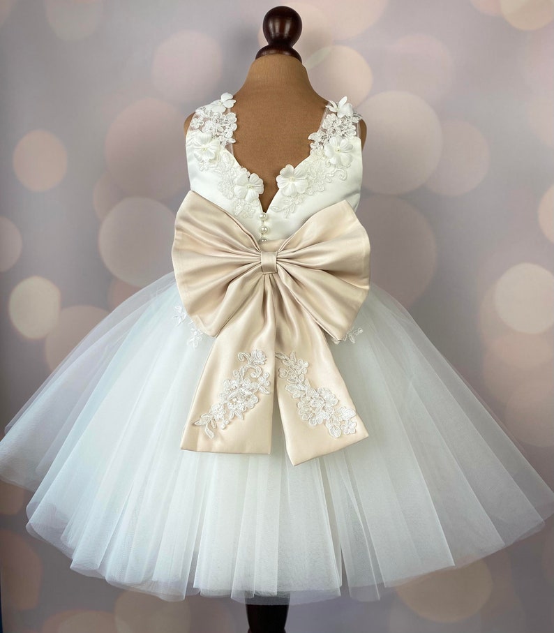 Robe de fille de fleur, robe danniversaire, robe de bébé, robe de dentelle, robe de tulle, mariage, modèle ICH021 image 4