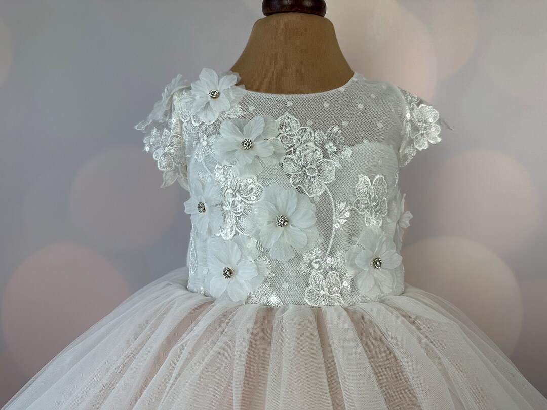 Baby Girls Blush 3D Floral Lace Hem Flower Girl Dress 6-24M