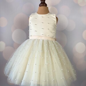 Robe de fille de fleur, robe danniversaire, robe de bébé, robe de dentelle, robe de tulle, mariage, modèle CH013 image 4