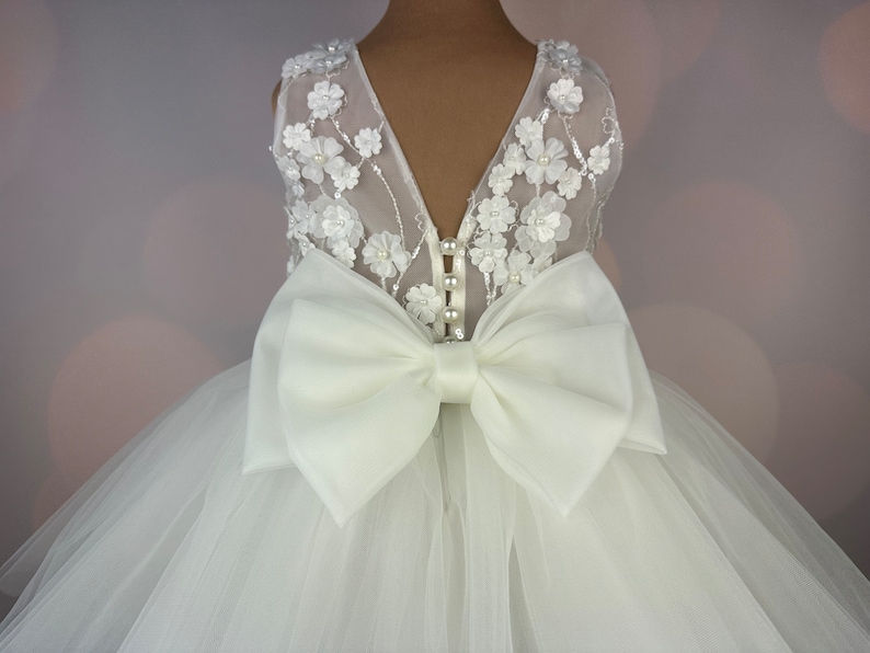 Robe de fille de fleur, robe 3D, robe d'anniversaire, robe de bébé, robe en dentelle, robe en tulle, mariage, robe champagne MODÈLE CHLOE image 1
