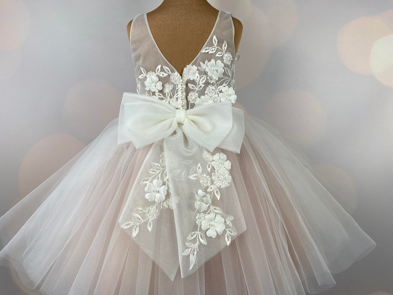 Robe de demoiselle d'honneur, blush, robe 3D, robe d'anniversaire, robe de bébé, robe en dentelle, robe en tulle, mariage, MODÈLE IB033 image 2