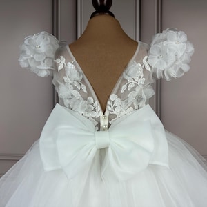 Flower girl dress, blush, 3D dress, Birthday Dress, Baby Dress, Lace Dress, Tulle Dress, Wedding, MODEL PENELOPE