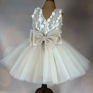 Flower girl dress, champagne, 3D dress, Birthday Dress, Baby Dress, Lace Dress, Tulle Dress, Wedding, Champagne Dress MODEL ICH034 image 1