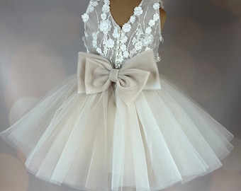 Flower girl dress, champagne,  3D dress, Birthday Dress, Baby Dress, Lace Dress, Tulle Dress, Wedding, Champagne Dress MODEL ICH034