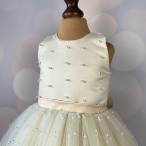 Robe de fille de fleur, robe danniversaire, robe de bébé, robe de dentelle, robe de tulle, mariage, modèle CH013 image 3