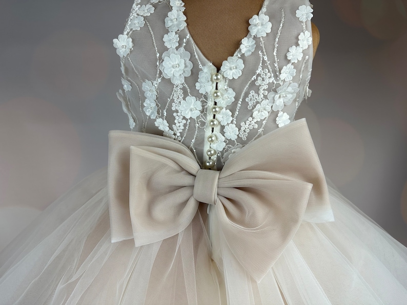 Flower girl dress, champagne, 3D dress, Birthday Dress, Baby Dress, Lace Dress, Tulle Dress, Wedding, Champagne Dress MODEL ICH034 image 5