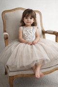 Champagne Lace & Tulle Flower Girl Dress: 3D Floral Appliqué