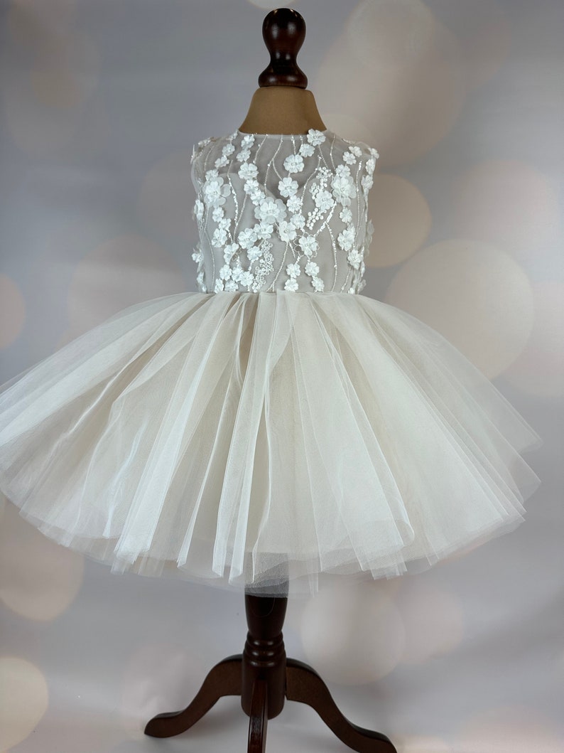 Flower girl dress, champagne, 3D dress, Birthday Dress, Baby Dress, Lace Dress, Tulle Dress, Wedding, Champagne Dress MODEL ICH034 image 8