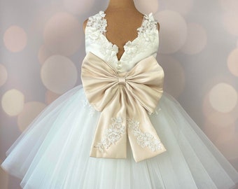 Robe de fille de fleur, robe d’anniversaire, robe de bébé, robe de dentelle, robe de tulle, mariage, modèle ICH021