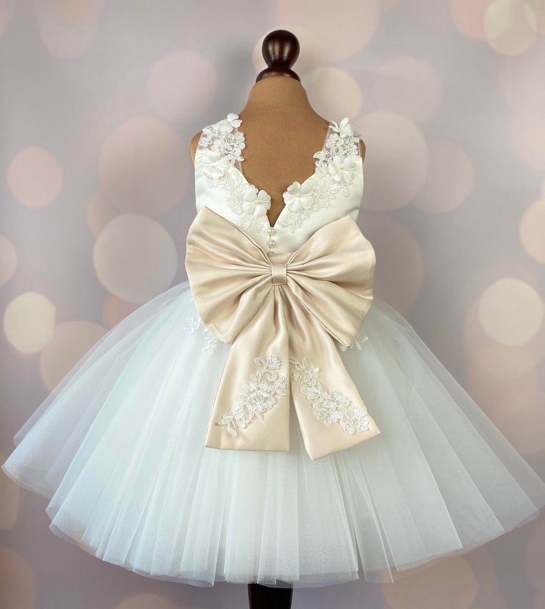 Robe de fille de fleur, robe danniversaire, robe de bébé, robe de dentelle, robe de tulle, mariage, modèle ICH021 image 1