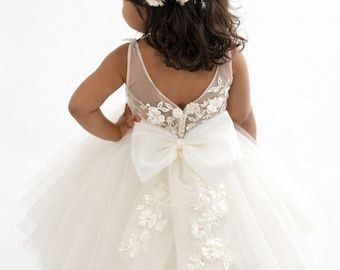 3D Flower Girl Dress: Lace Tulle Birthday Wedding Dress