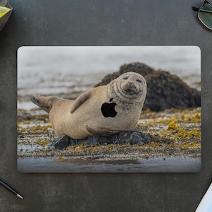 Funny Sea Lion MacBook M3 Air case A3113 New MacBook Pro cover Pro 16 M4 MacBook Protective Hard Shell A3186 MacBook Air 15 Case M2 M3 A2941