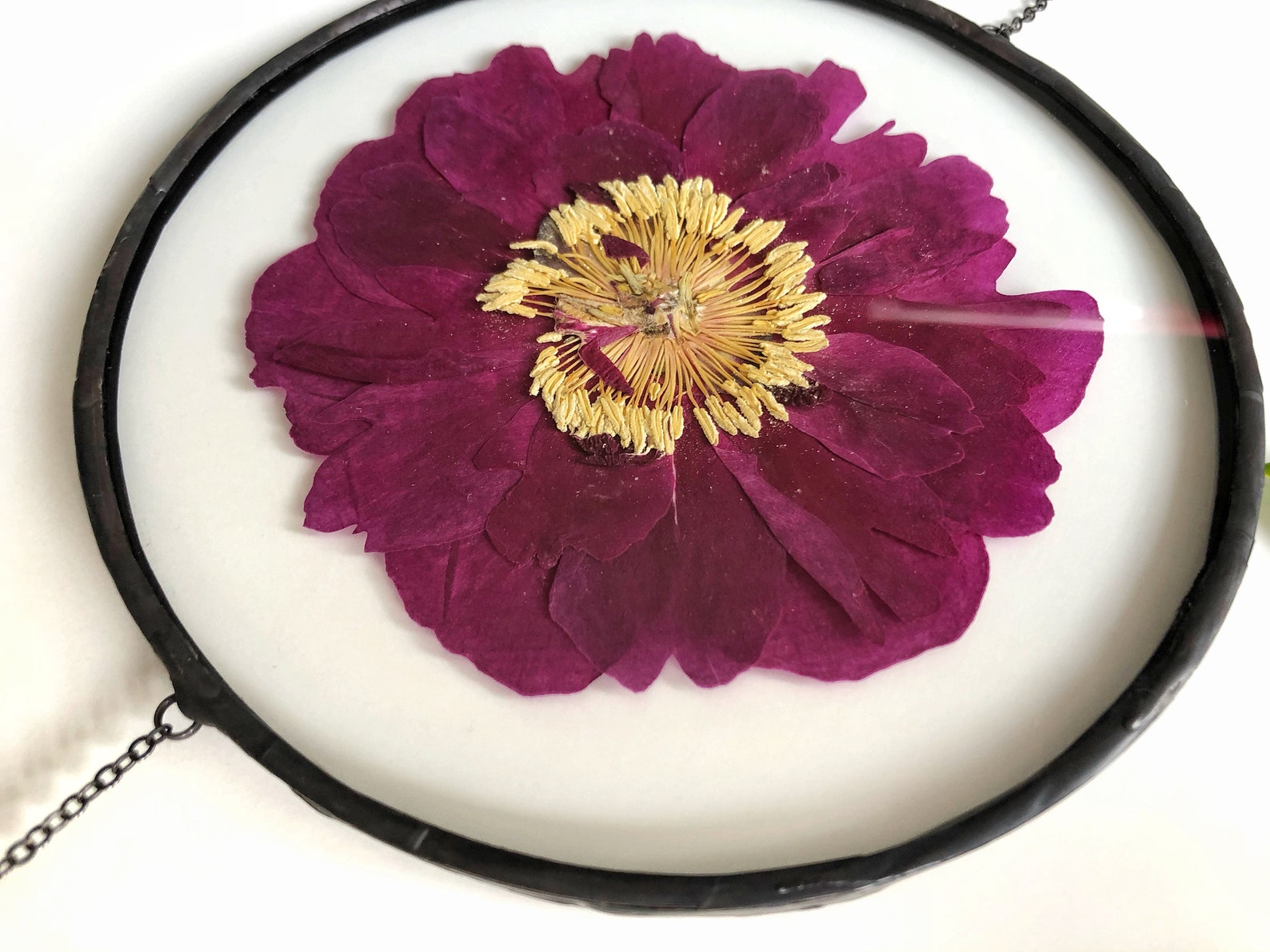 Framed pressed flowers Pressed peony frame Glass flower Etsy