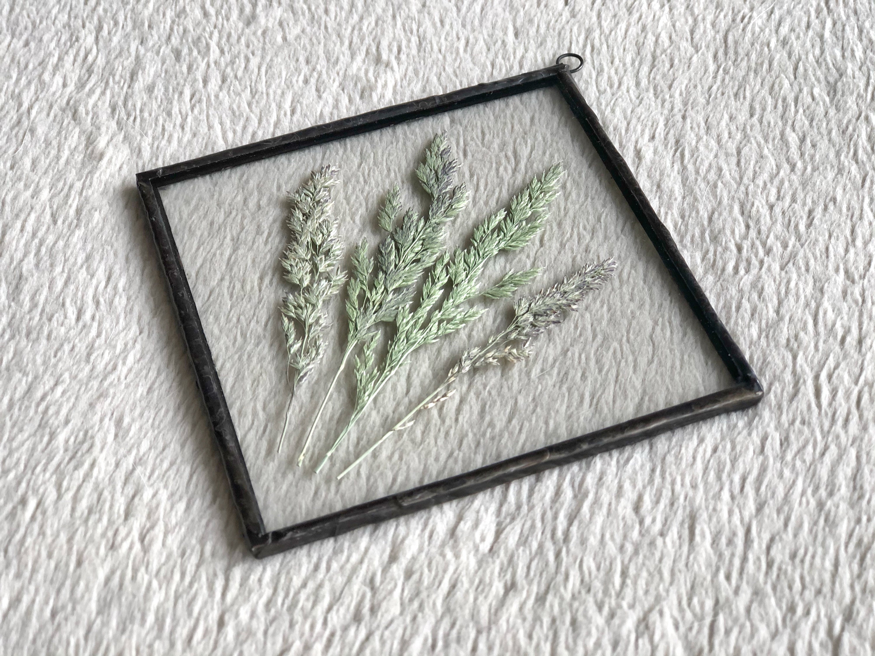Pressed flower frame Framed pressed flowers Glass flower Etsy