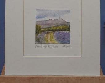 Impresión firmada en miniatura de Dartmoor Bluebells por Adele Hart