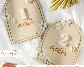 Marqueurs d&#39;étape arqués SVG Daisy Flower, carte d&#39;étape interchangeable Boho, accessoire photo première année de bébé, fichier coupé, Glowforge, 002