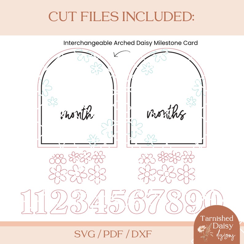 SVG Daisy Flower Arched Milestone Markers, Boho Interchangeable ...