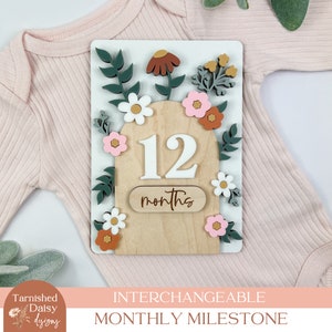 May include: Interchangeable monthly milestone sign with a floral design. The sign features a wooden arch with the number 12 and the word "months" written on it. The arch is surrounded by flowers and leaves in shades of pink, white, green, and orange.