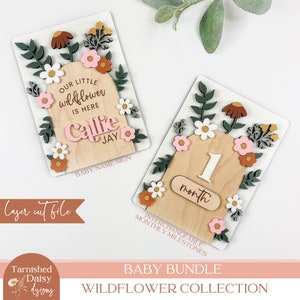 Juego de archivos cortados con láser con diseño floral SVG para bebé, letrero con anuncio del nombre del bebé, letrero con hitos mensuales intercambiables, accesorio para fotos de hospital, 001