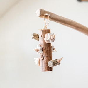 Sola Wood Chew - natural hanging bird toy for cockatiels, conures, budgies, and small & medium parrots